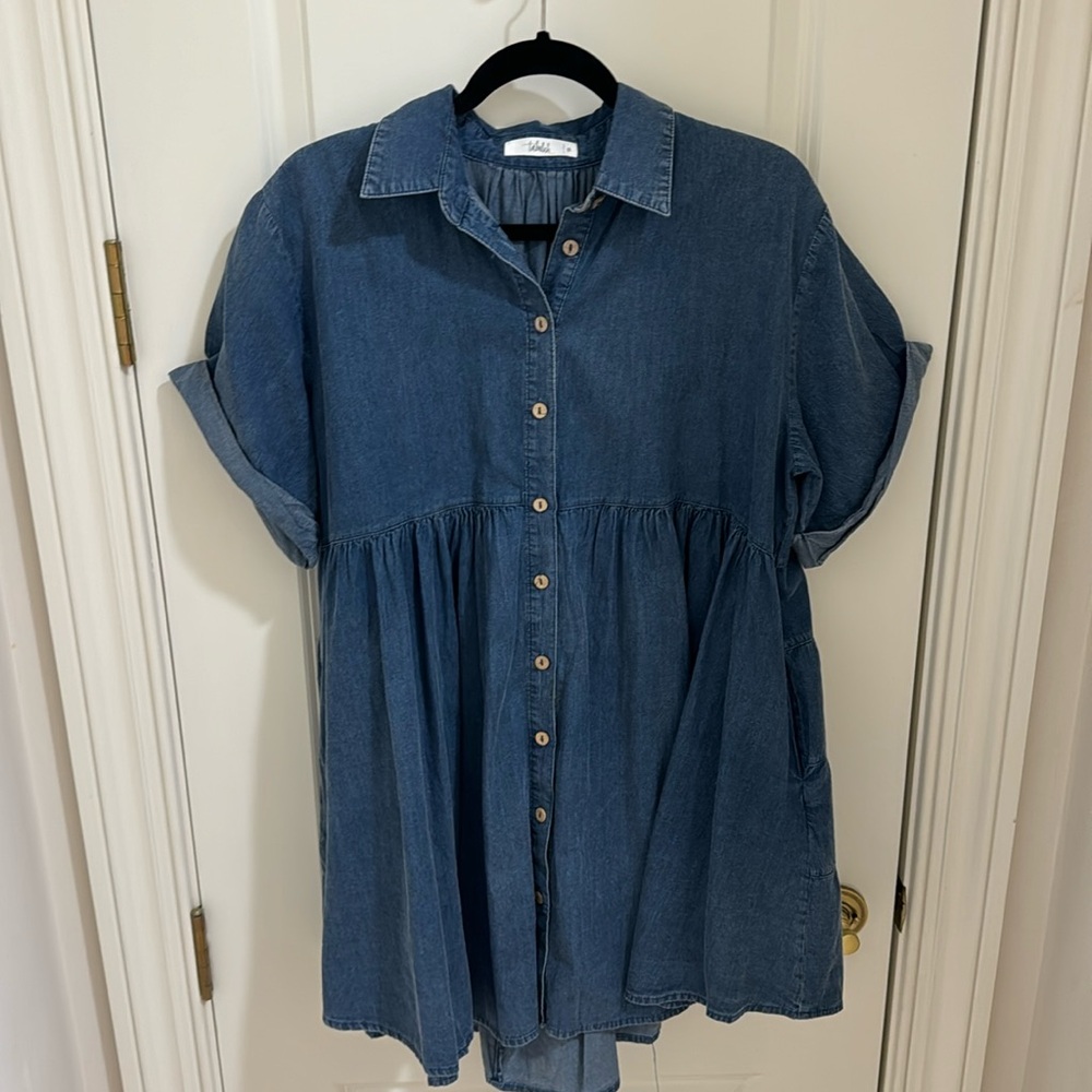Small Denim Shirt Dress
